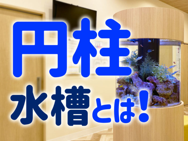 円柱水槽とは！の文字と木目調の円柱型海水魚水槽