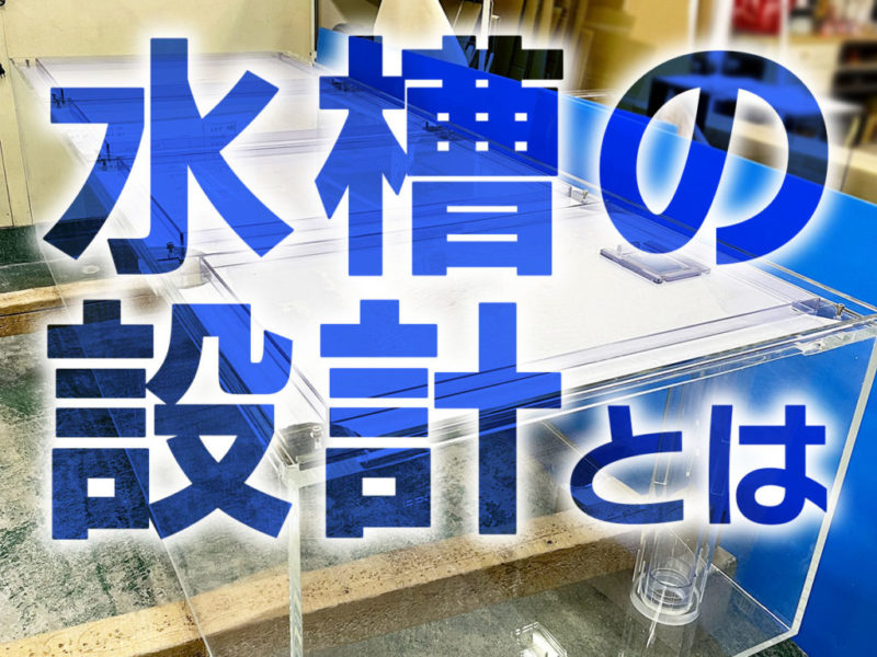 水槽の設計とはの文字が入ったアクリル水槽の見出し画像