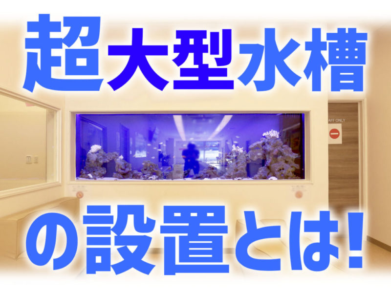 超大型水槽の設置とは!の文字と壁埋め込み式海水水槽
