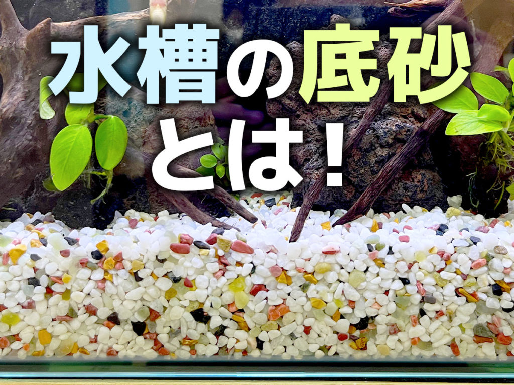 水槽の底砂とは?水槽の種類別・底床材の選び方とおすすめ7選のサムネイル画像