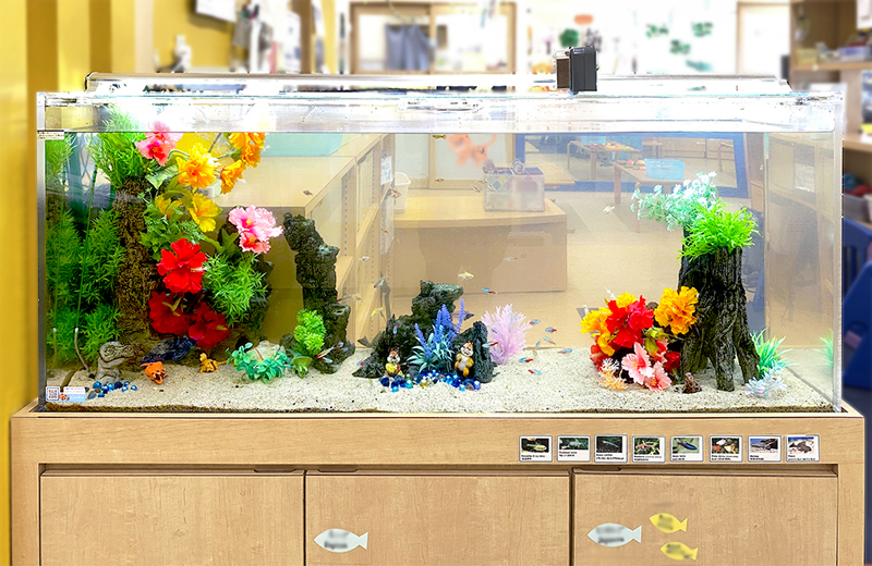 神奈川県横浜市　教育施設様　150cm淡水魚水槽　17年目のメンテナンス事例