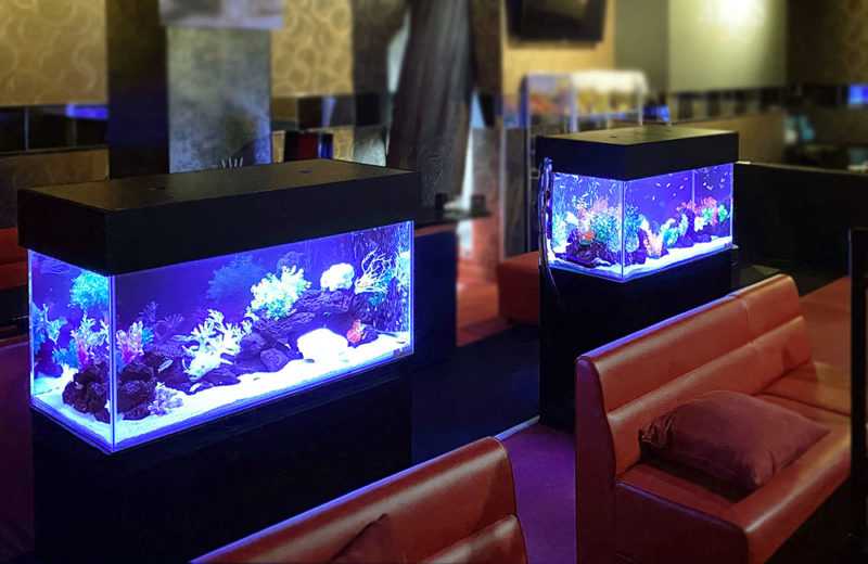 飲食店様の90cm淡水魚水槽2台をレンタル管理しています！ 水槽画像２