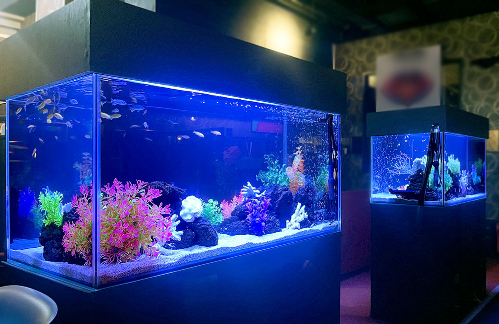 青い照明に照らされた熱帯魚水槽と人工水草のレイアウト