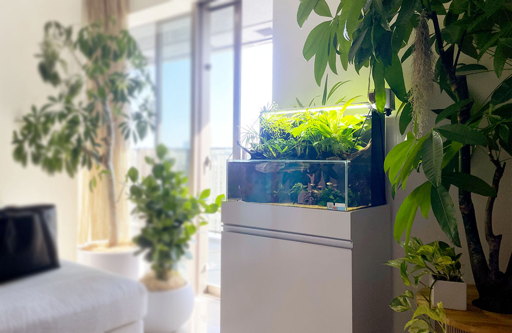 観葉植物に囲まれたリビングのアクアテラリウム水槽
