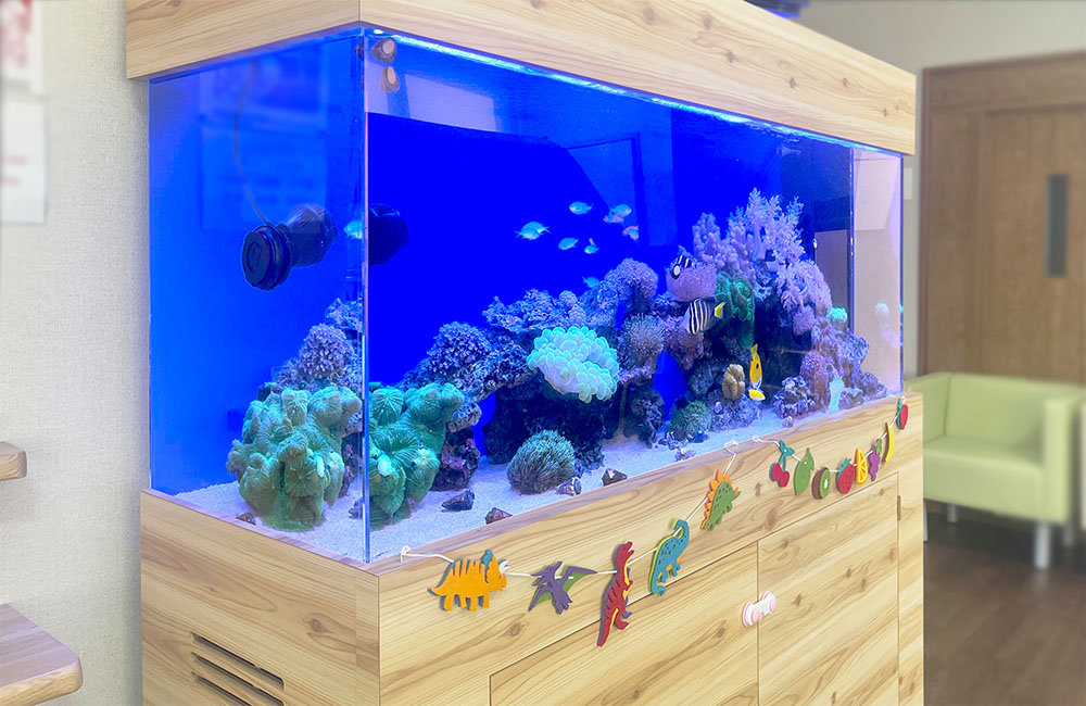 サンゴと熱帯魚が泳ぐ木目調台の大型海水魚水槽