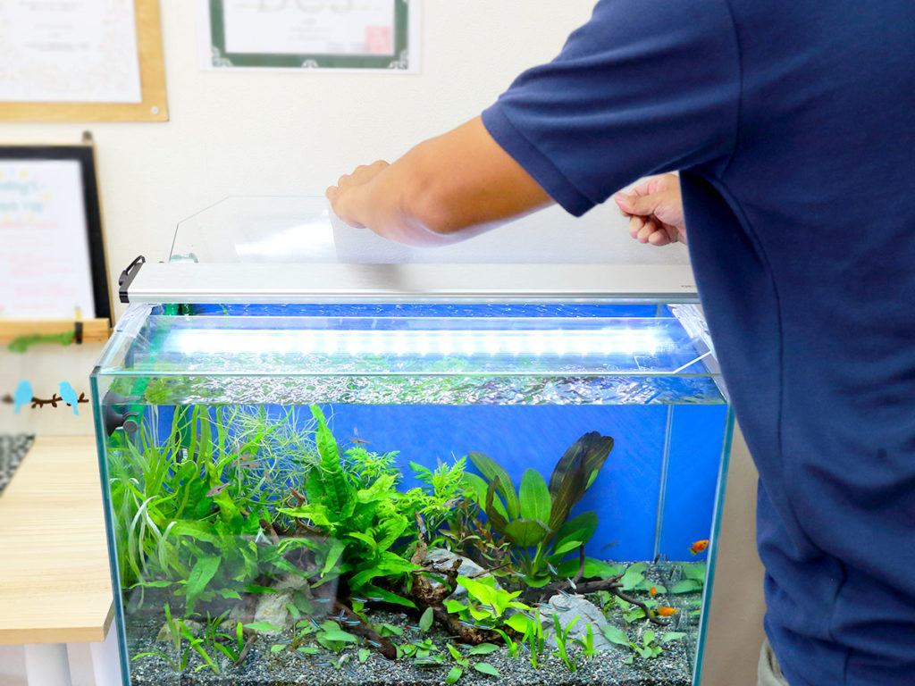 水草水槽のガラス蓋を外してメンテナンスを行う男性の手元