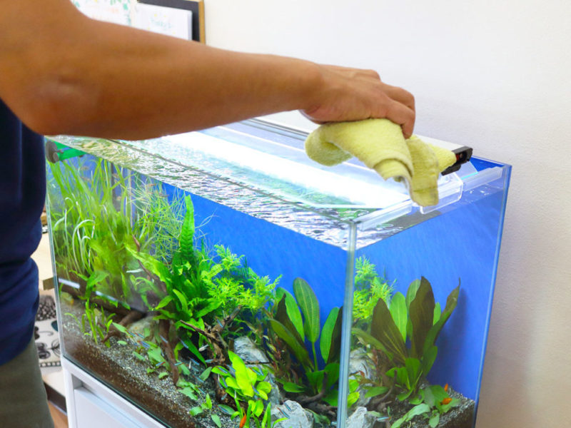 タオルで水槽の縁を拭く人の手と水草レイアウト水槽