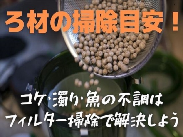 ろ材の掃除目安とフィルター掃除での解決を促す見出し画像