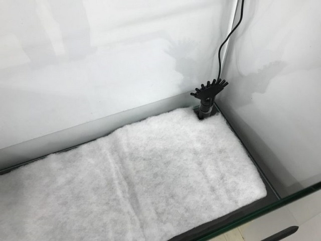 水槽底面に敷かれた白いウールマットと水中ポンプの設置例