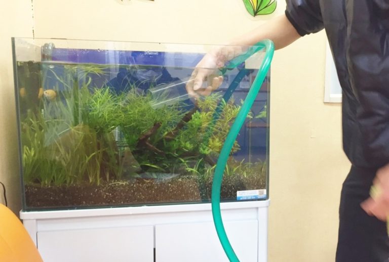 ホースとクリーナーで水草水槽を掃除する人の手元