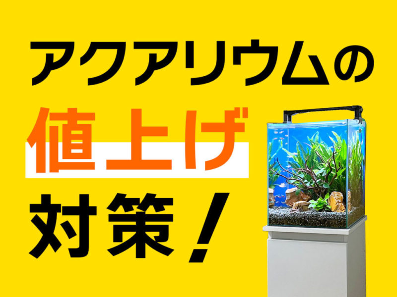 アクアリウムの値上げ対策の文字と水草水槽の見出し画像