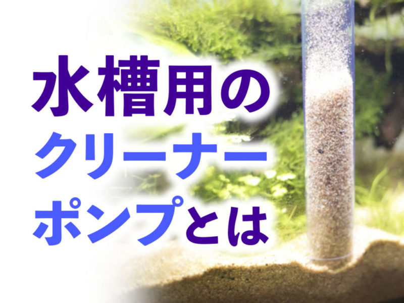 水槽用のクリーナーポンプとはの文字と底砂掃除の画像