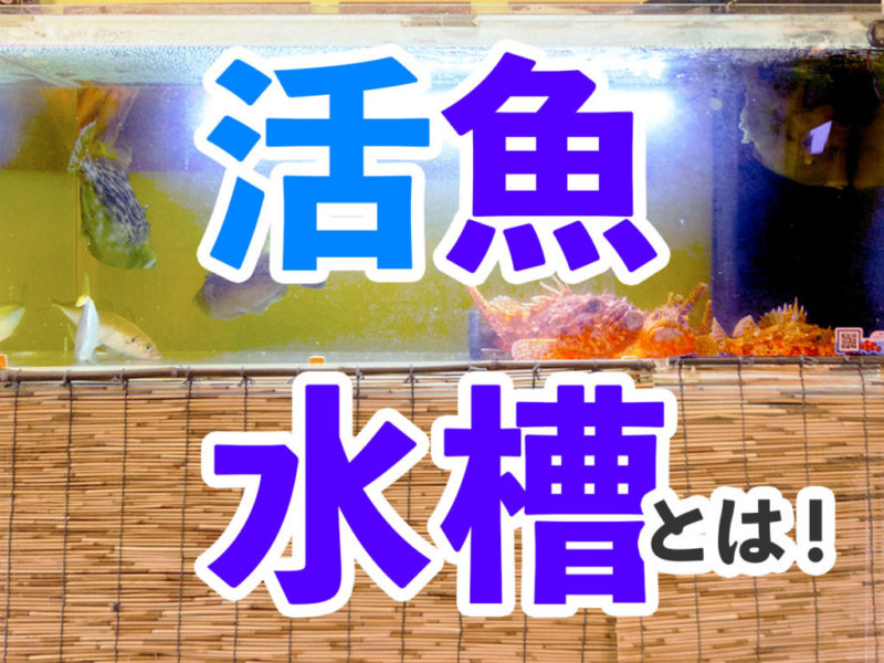 活魚水槽とは!の文字と魚が泳ぐ生け簀の見出し画像