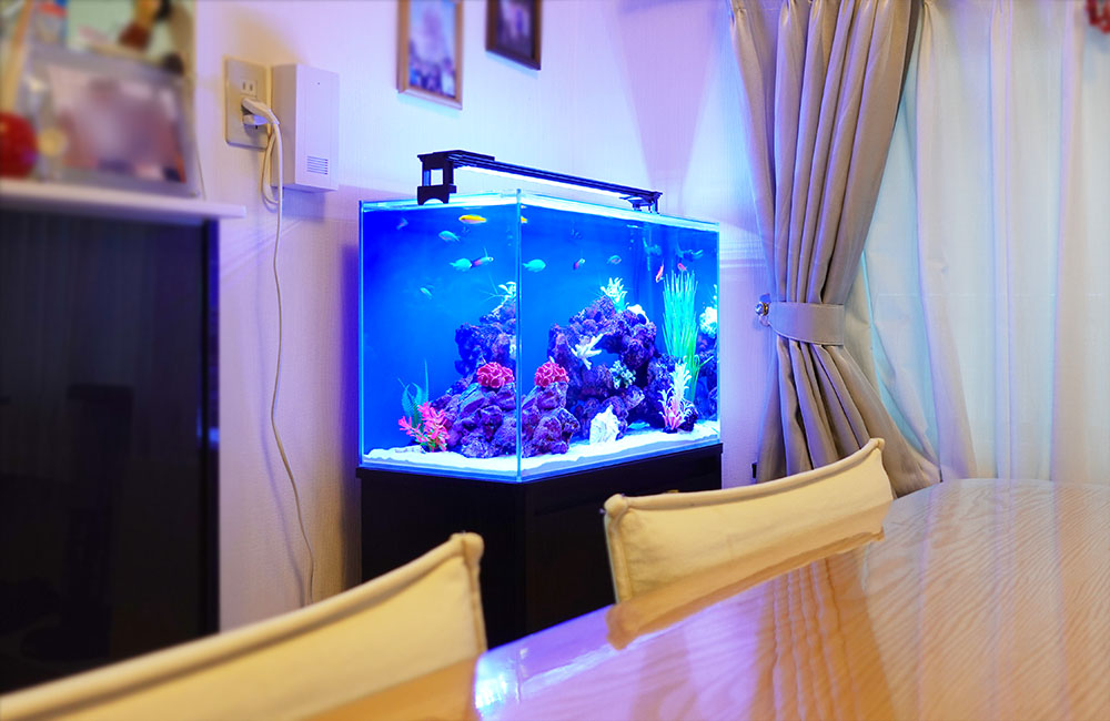 青い照明が灯るリビング設置の海水魚水槽とダイニングテーブル