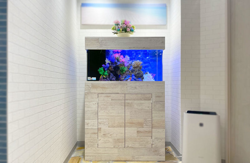 90cm海水魚水槽に60cm水槽からリニューアル!法律事務所のアクアリウム 水槽画像2
