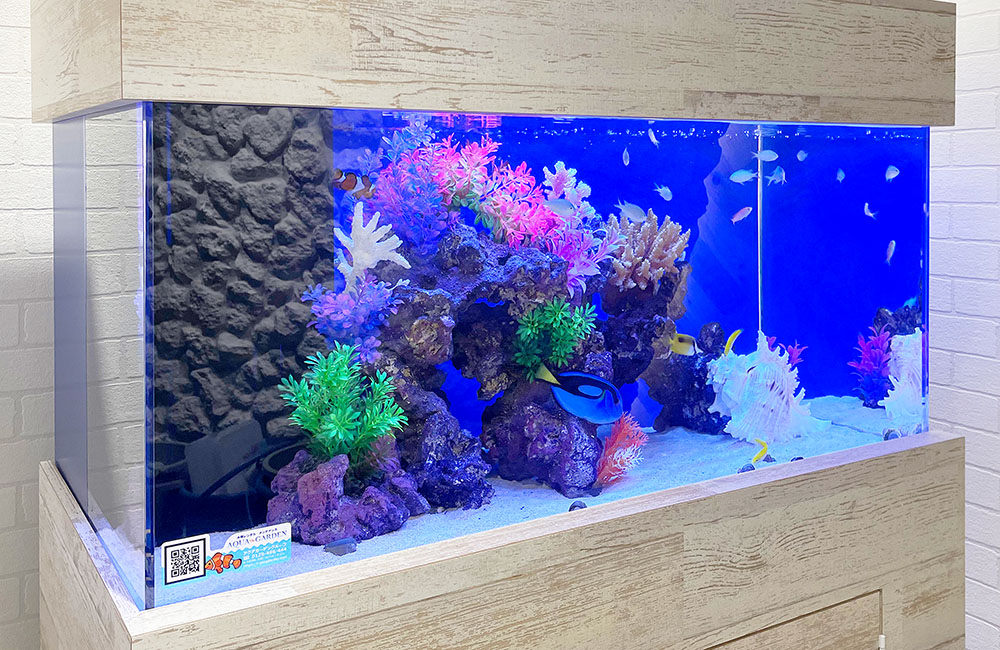 90cm海水魚水槽に60cm水槽からリニューアル！法律事務所のアクアリウムのサムネイル画像