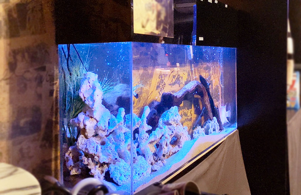 青い照明に照らされたサンゴ岩と流木のある海水魚水槽