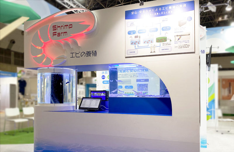 養殖エビを展示!エコプロ2022に設置したバナメイエビの活魚水槽2台 水槽画像1