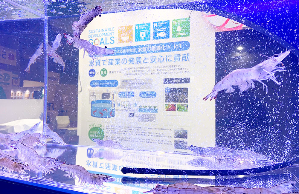 水質で産業の発展と安心に貢献のパネルと水槽内のエビ類