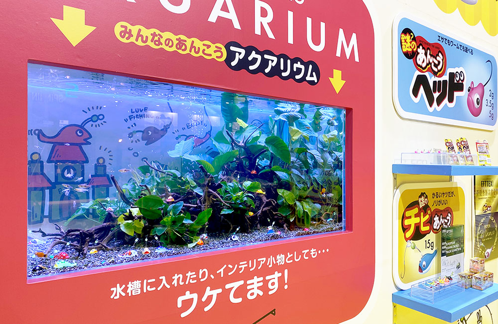 みんなのあんこうアクアリウムと書かれた展示水槽の画像