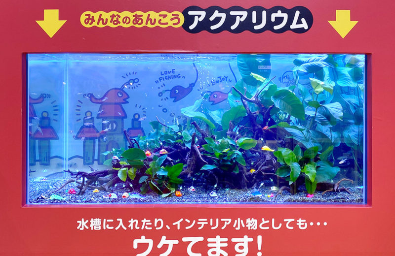 ルアー・謎のあんこうを展示!釣り用品イベントのディスプレイ水槽 水槽画像2