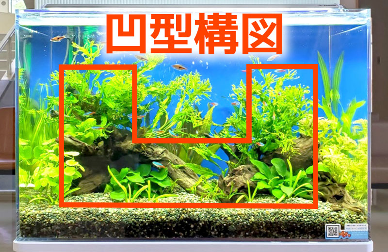 凹型構図の文字が入った水草レイアウト水槽の見出し画像