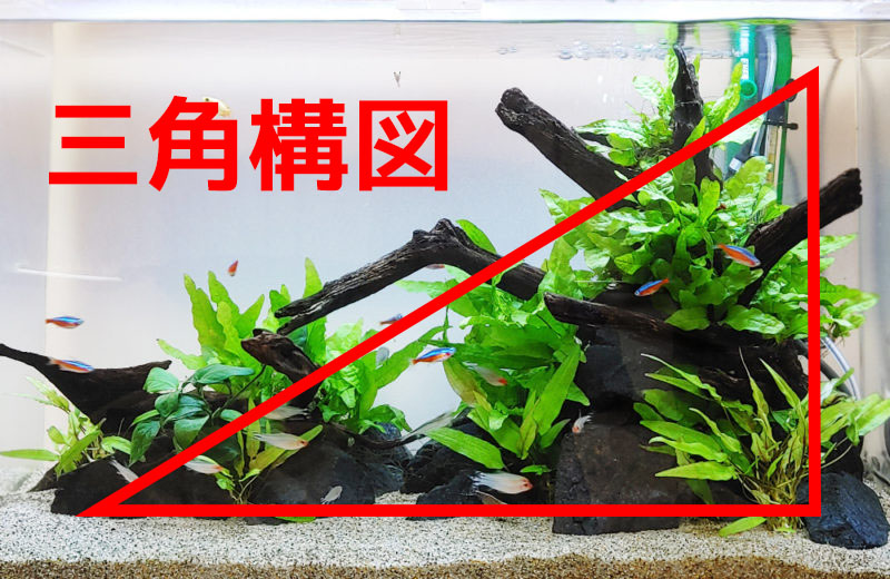 三角構図の文字と水草や流木を配置した水槽レイアウト画像