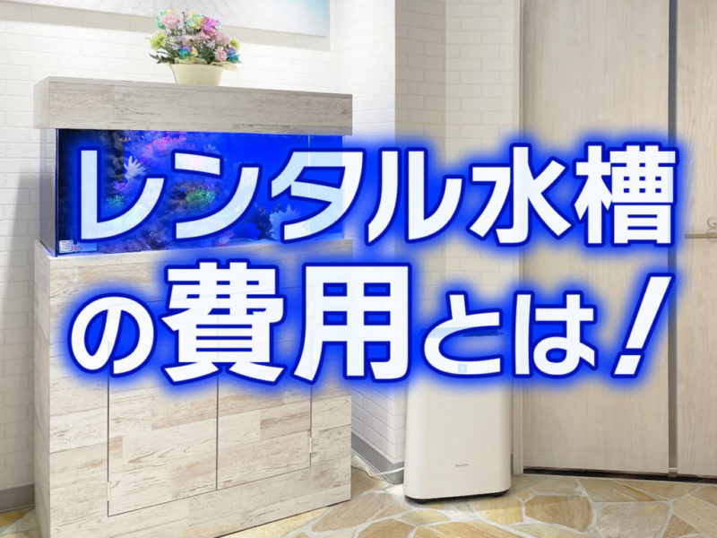 レンタル水槽の費用とは!の文字と木目調の海水魚水槽