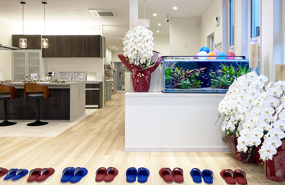 胡蝶蘭と並んで設置された水草水槽のあるショールーム内観
