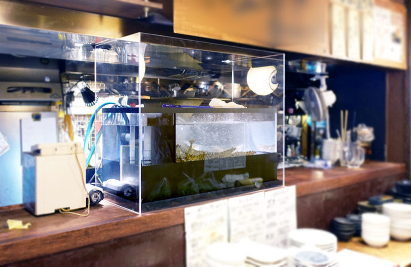 エビのいけすを特注制作!飲食店様の活魚水槽を交換しました! 水槽画像2