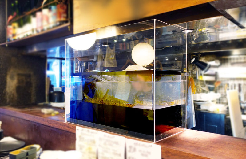 エビのいけすを特注制作!飲食店様の活魚水槽を交換しました! 水槽画像3
