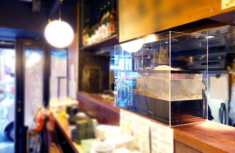 飲食店カウンターに設置されたアクリルケース入りの水槽
