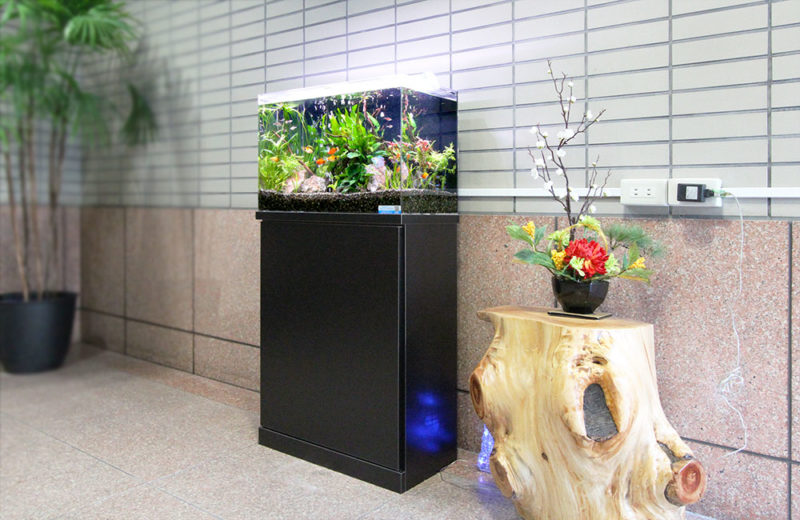 エントランスの熱帯魚水槽!60cm水槽は設置しやすいサイズです 水槽画像2