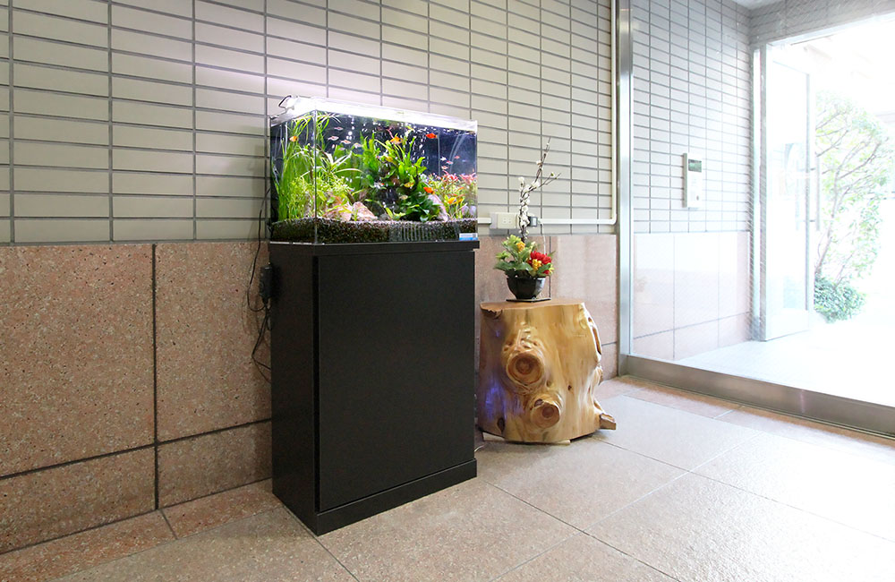 エントランスの壁際に設置された水草熱帯魚水槽