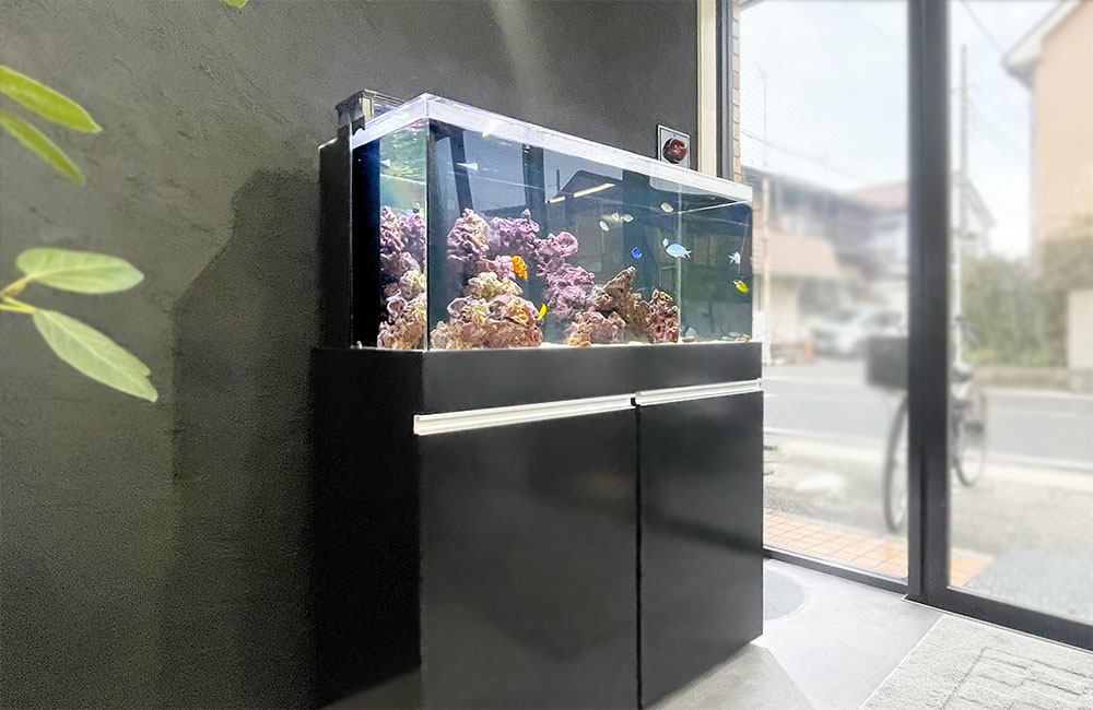 黒い水槽台に設置された海水魚水槽とライブロックのレイアウト