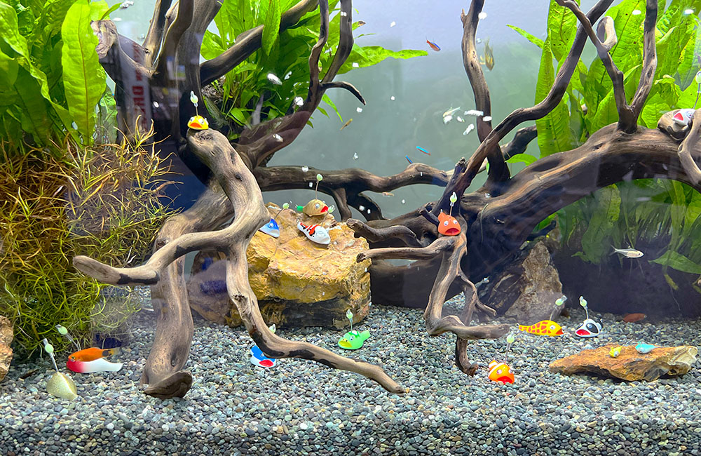 流木と水草を配置した水槽内の魚型フィギュアと小型魚群