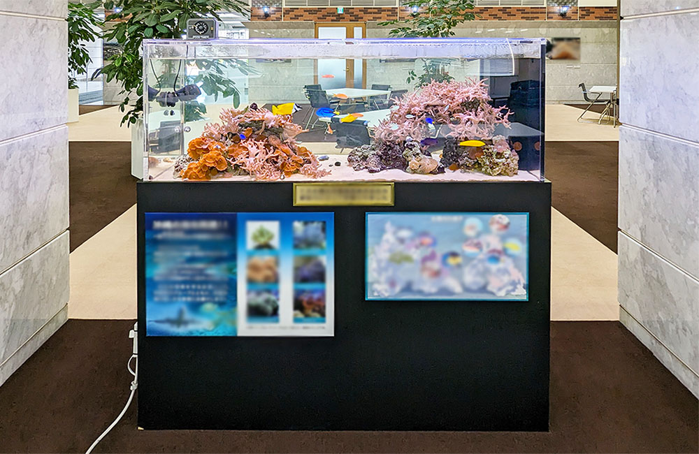 オフィスに設置された海水魚水槽と解説パネルの展示風景