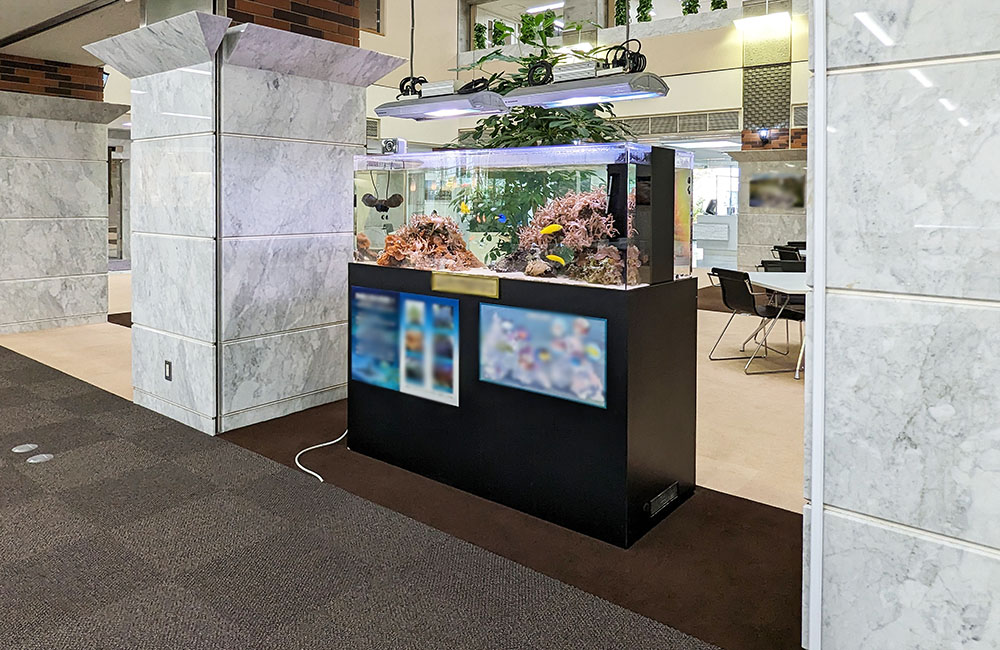 ロビーに設置された海水魚水槽とサンゴ岩のレイアウト