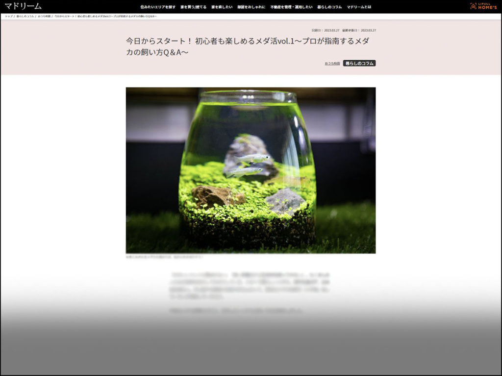 ガラス容器で泳ぐメダカと水草のボトルアクアリウム