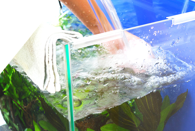 水草水槽へ注水する手と縁に掛けられた白いタオル