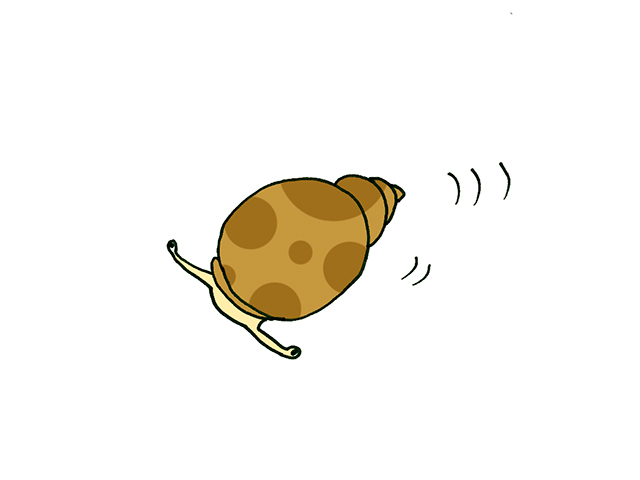 茶色の斑点模様がある貝のイラスト