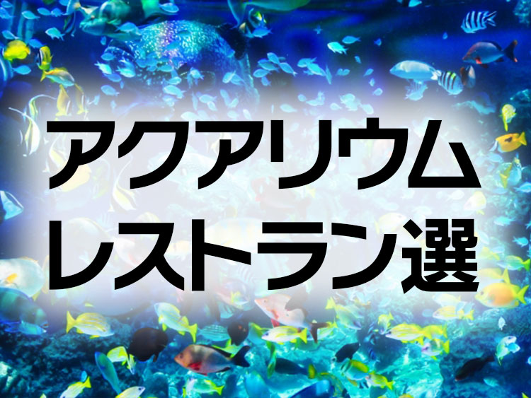 アクアリウムレストラン選の文字と泳ぐ海水魚の見出し画像