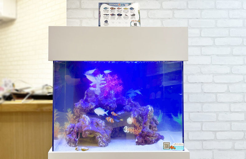 水槽をサイズアップ!45cmから60cmに入れ替えたクリニックの海水魚水槽 水槽画像3