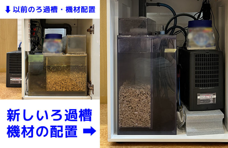 水槽をサイズアップ!45cmから60cmに入れ替えたクリニックの海水魚水槽 水槽画像4