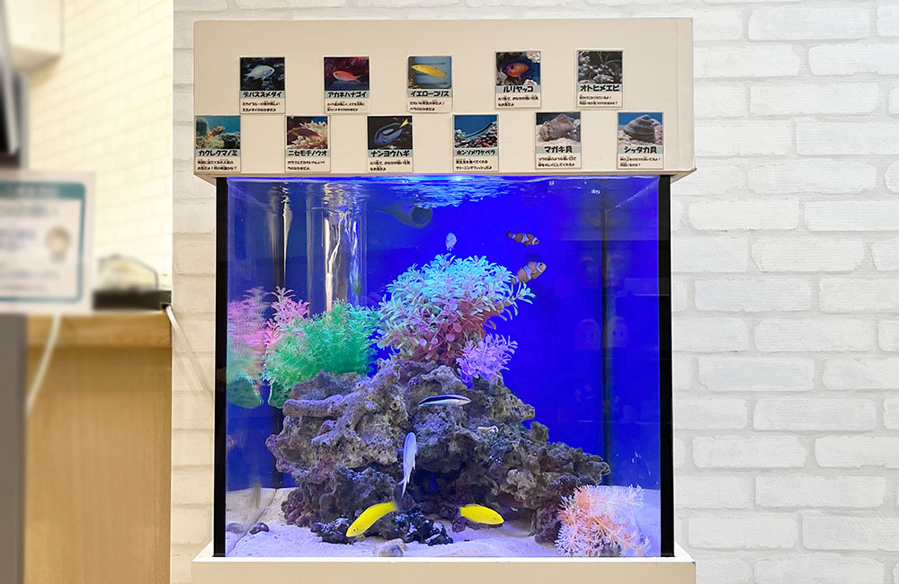 魚の紹介パネルが設置された海水魚水槽の全景