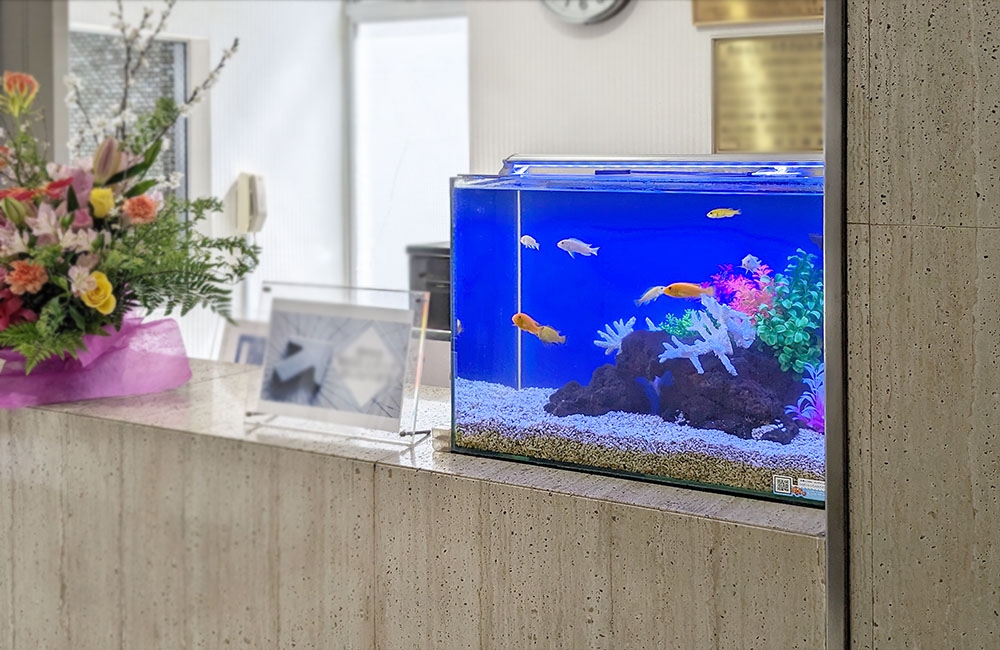 受付カウンターに置かれた青い背景の熱帯魚水槽と花瓶の花