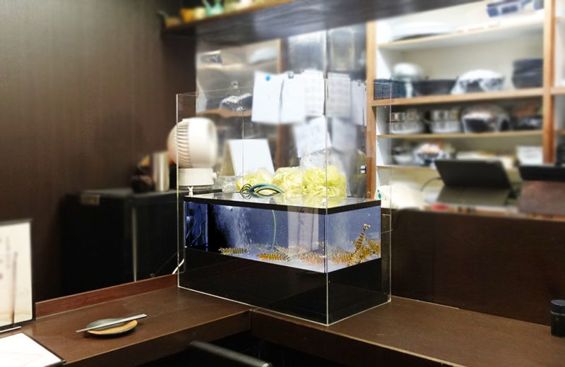 飲食店様のいけすを特注制作・設置！新鮮な食材をサポート！ 水槽画像２