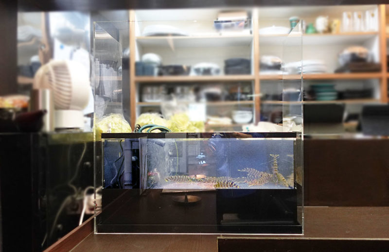 飲食店様のいけすを特注制作・設置！新鮮な食材をサポート！ 水槽画像３