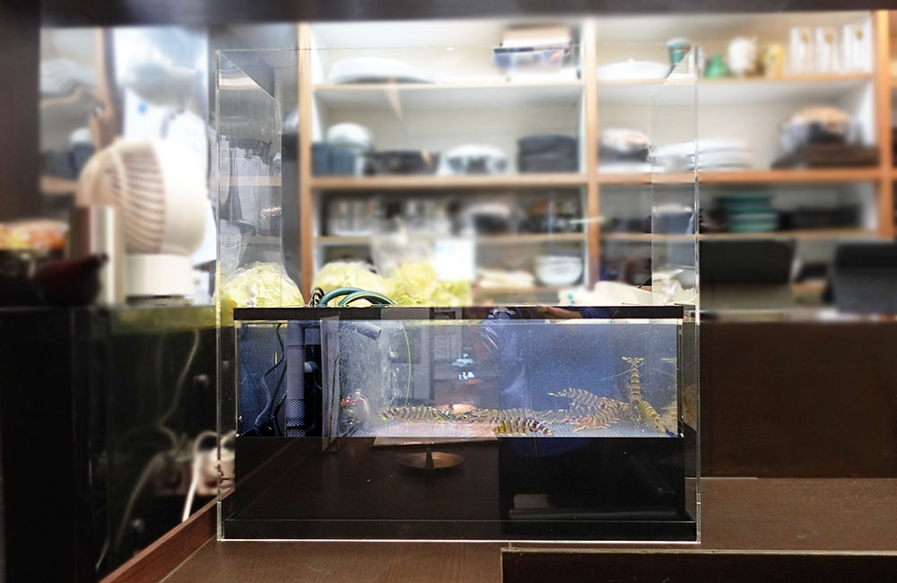 車海老が泳ぐ飲食店カウンター設置の活魚水槽