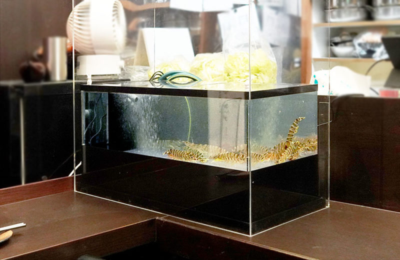 飲食店様のいけすを特注制作・設置！新鮮な食材をサポート！ 水槽画像４